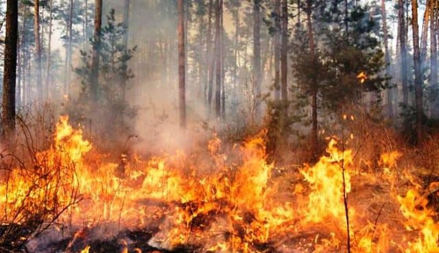 Instituti i Gjeoshkencave paralajmëron rrezik të lartë zjarresh në të gjithë vendin