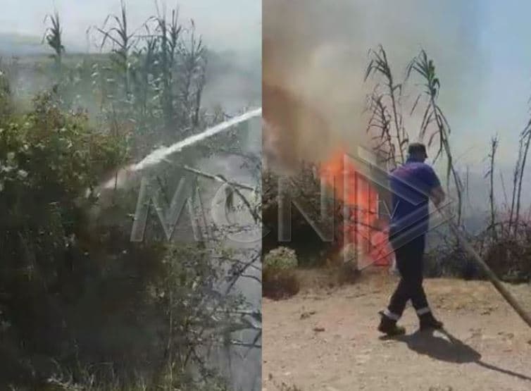 Zjarr në fshatin Mekat në Vlorë, dyshohet i qëllimshëm (Video)