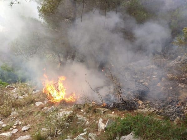 Zjarri përfshin masivin pyjor në fshatin Ndërshen në Mirditë, flakët i afrohen banesave