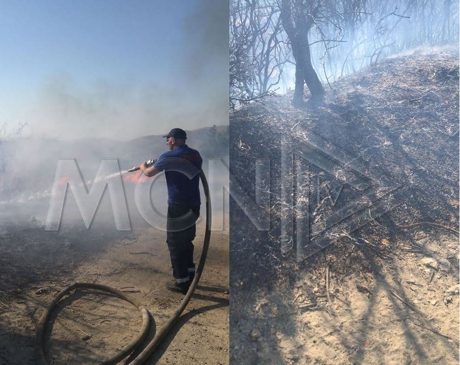 Zjarr me përmasa të mëdha në Selenicë, digjet një banesë dhe 25 hektarë pemë (VIDEO) 