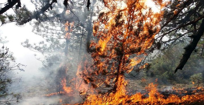 Situata e zjarreve në vend, tre vatra vijojnë të jenë aktive