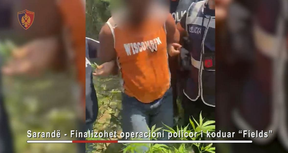 U kap duke vaditur kanabisin, pranga 35-vjeçarit në Sarandë