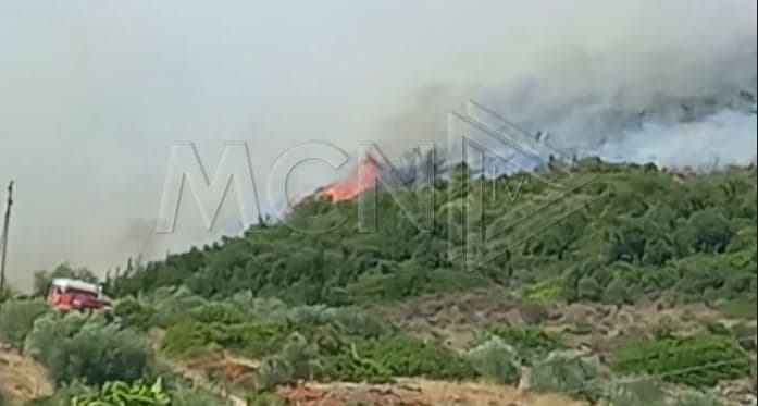 Zjarr në fshatin Peshkëpi në Vlorë, rrezikohen banesat (Video)
