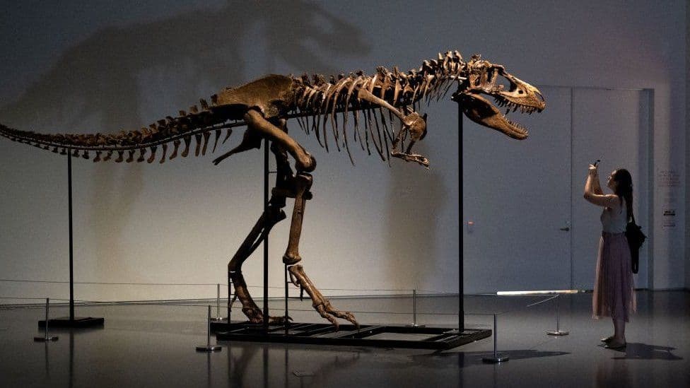 Skeleti i lashtë i dinosaurit shitet për 6 mln dollarë në ankand