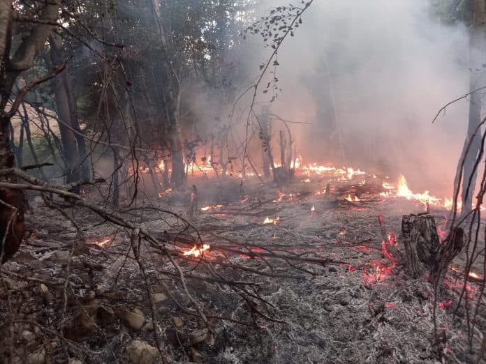 Situata e zjarreve në vend, Emergjencat Civile: Janë 2 vatra aktive
