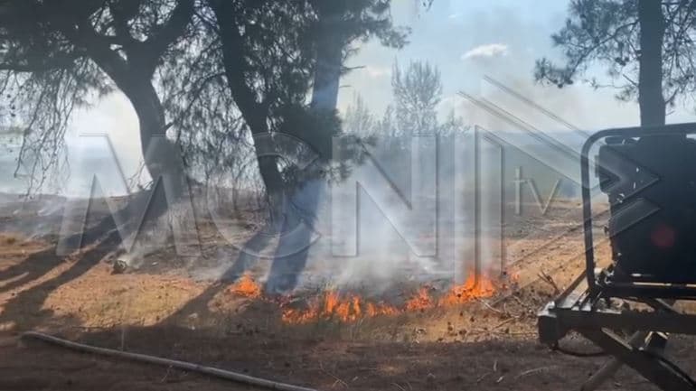Zjarr në Vlorë, në zonën mes Akërnisë dhe Delisufit (VIDEO)