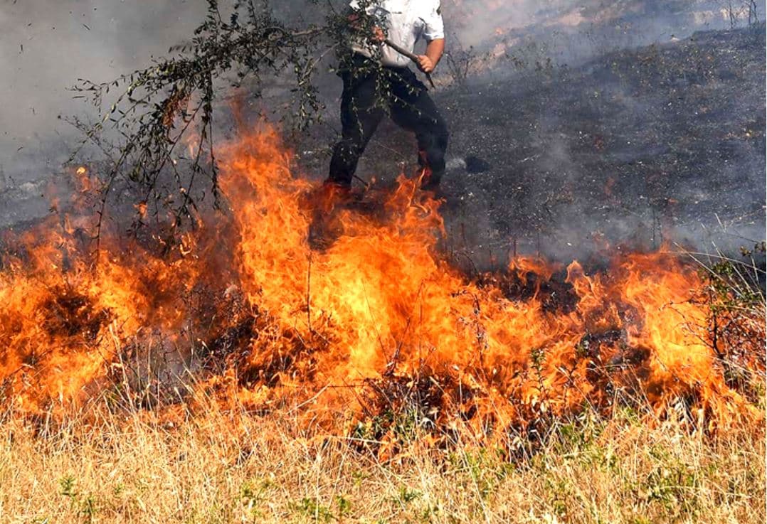 Ministria e Mbrojtjes: Tre vatra ende aktive, zjarri në Dropull rrezikoi tre fshatra