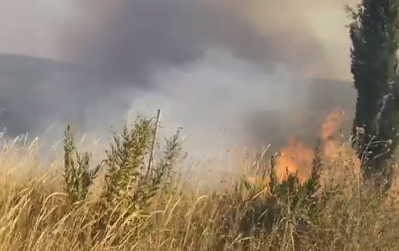 Zjarr në kodrat e Shën e Premte të Divjakës, flakët djegin 20 ha me ullinj dhe shkurre