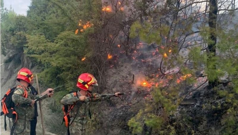 Shqipëria në flakë, Peleshi: 5 vatra zjarri aktive, situata më e rëndë në Selenicë