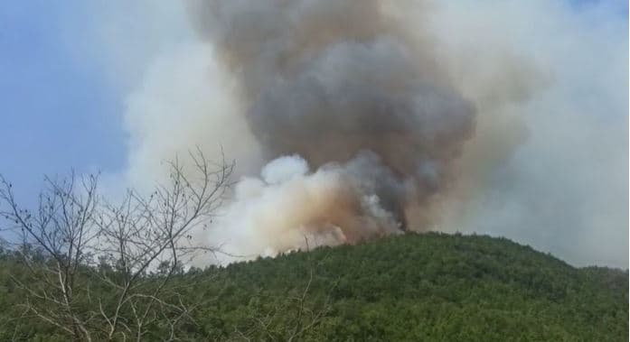 Video/ Malësia e Kurbinit prej ditësh në pushtetin e flakëve, disa banesa në rrezik