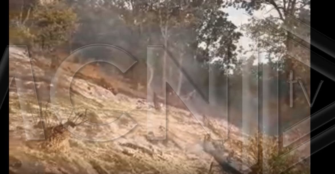 Video/ Zjarr në fshatin Levan të Memaliajt, bariu i zonës i vë flakën 6 hektarëve tokë