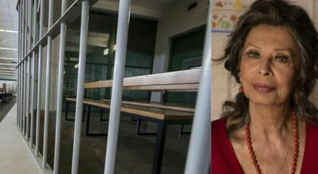 A duhen burgosur moshat mbi 70 vjeç?
