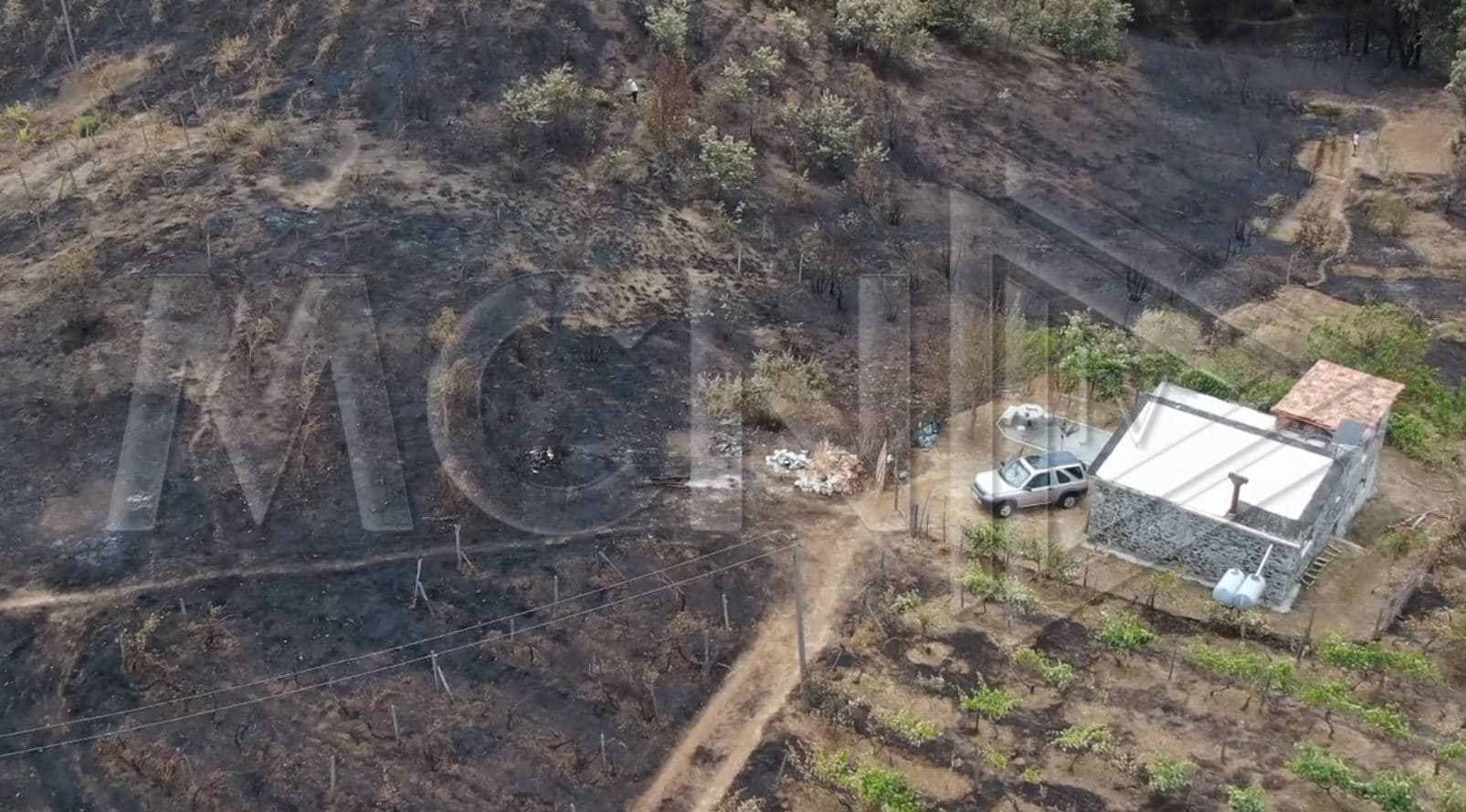 Zjarri shkatërron bujqësinë në Bukmir të Mirditës, fermeri: Kemi lënë djersë dhe gjak, jemi dëmtuar rëndë (VIDEO)