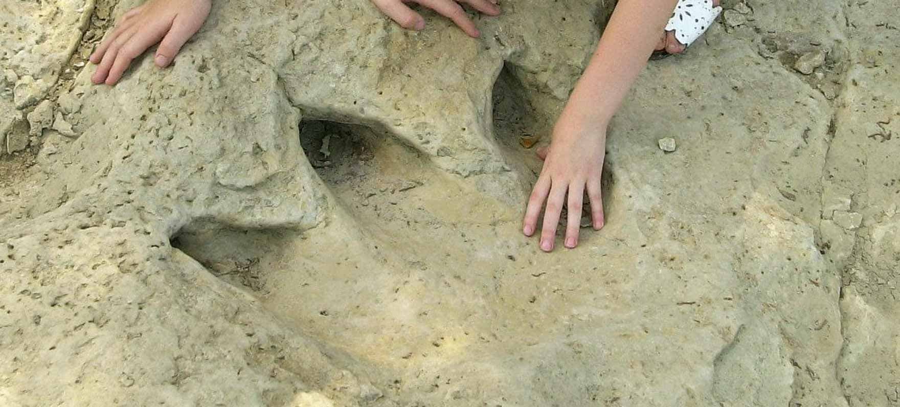 Thatësira zbulon në Teksas gjurmët e dinosaurëve të 113 mln vjetëve më parë
