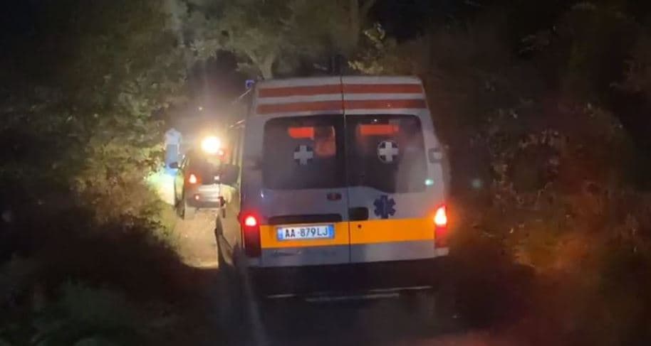  Arrestohet 37-vjeçari që vrau babain në Mallakastër (VIDEO)