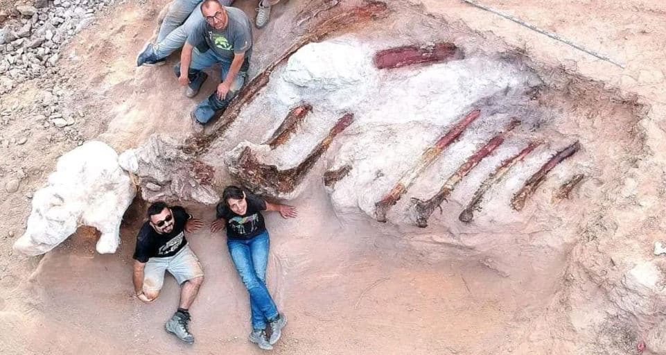 Zbulohet në Portugali dinozauri më i madh që ka jetuar në Europë