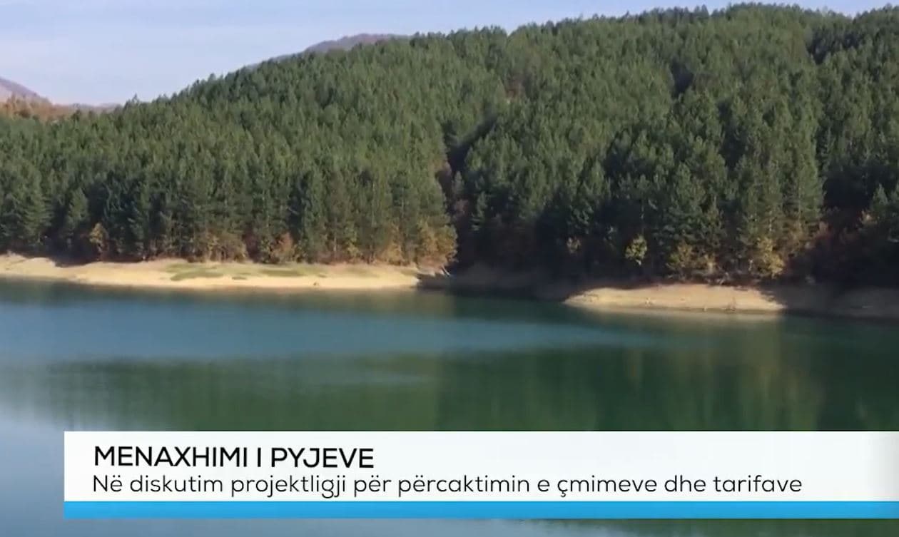 Menaxhimi i pyjeve/ Në diskutim projektligji për përcaktimin e çmimeve dhe tarifave (VIDEO)
