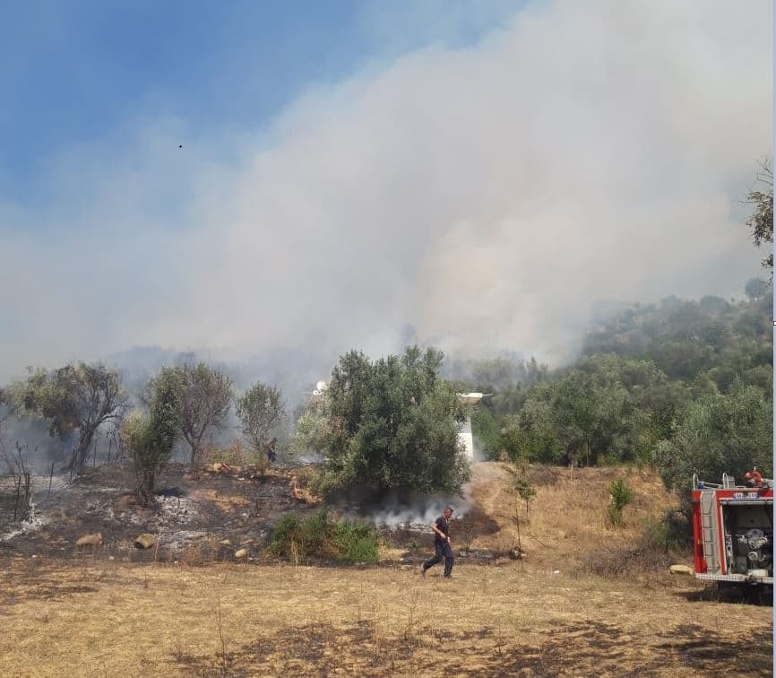 Dy vatra zjarri në fshatrat e Memaliajt, flakët shumë pranë banesave (FOTO)