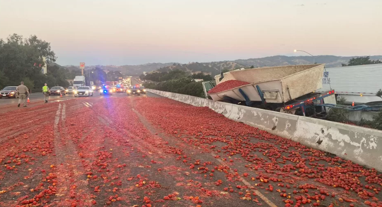 Kaliforni, kamioni devijon rrugën, derdhen 150 mijë domate në autostradë