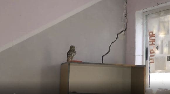 U dëmtua nga tërmeti, nxënësit në Peqin as këtë vit s’do të frekuentojnë shkollën e tyre