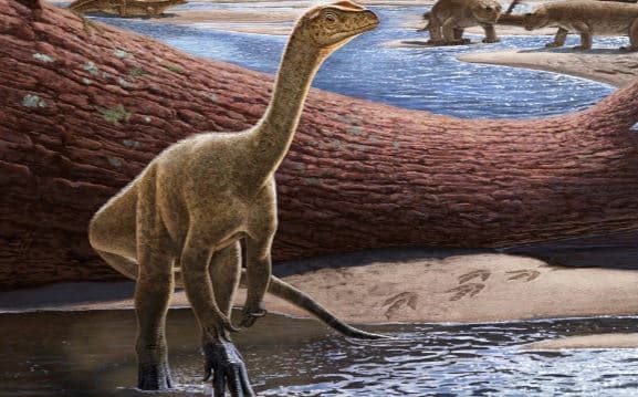 Zbulohet në Zimbabve skeleti më i vjetër i dinosaurëve në Afrikë
