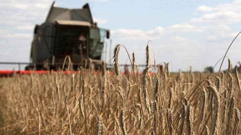 Suedia do të blejë 40 mijë ton grurë ukrainas për vendet në vështirësi
