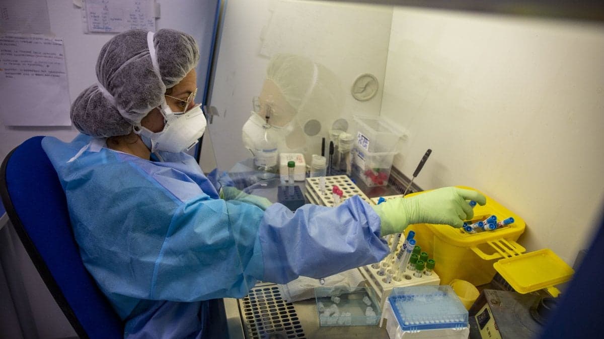 Studiuesit nga Wuhan, zbulojnë një virus të ri me origjinë shtazore