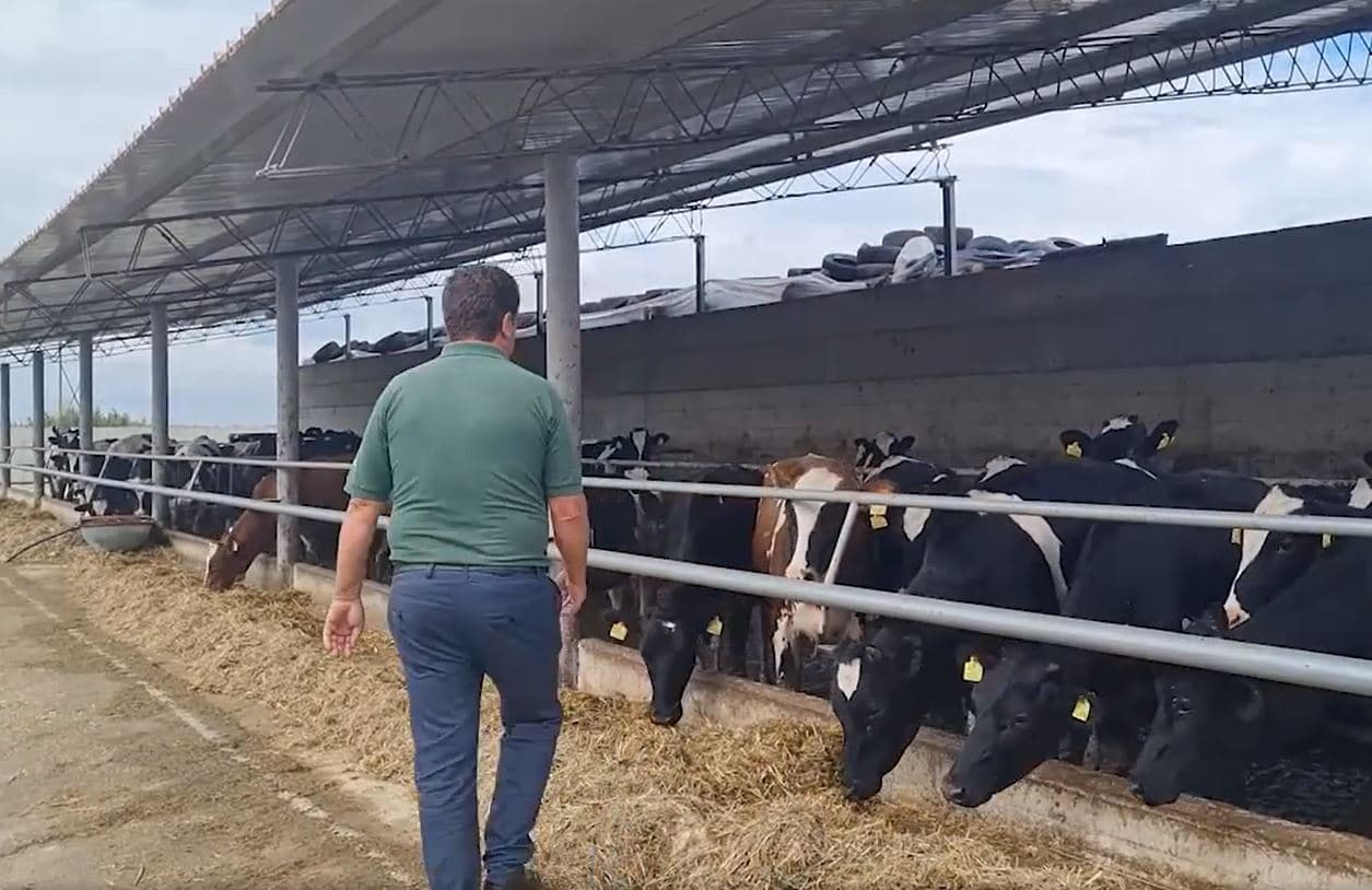 “Skema lëmoshë për mbështetjen e fermerëve” (VIDEO)