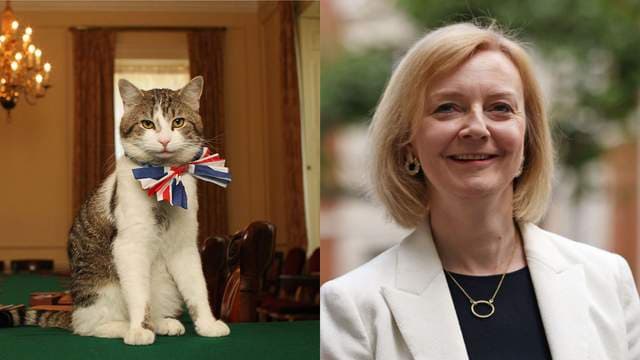 Ka pritur dhe përcjellë tre kryeministra, macja Larry mirëpret Liz Truss