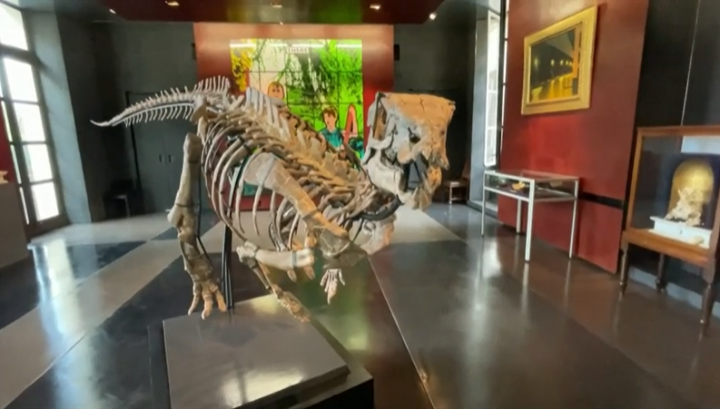 Del në ankand skeleti i rrallë i një dinosauri