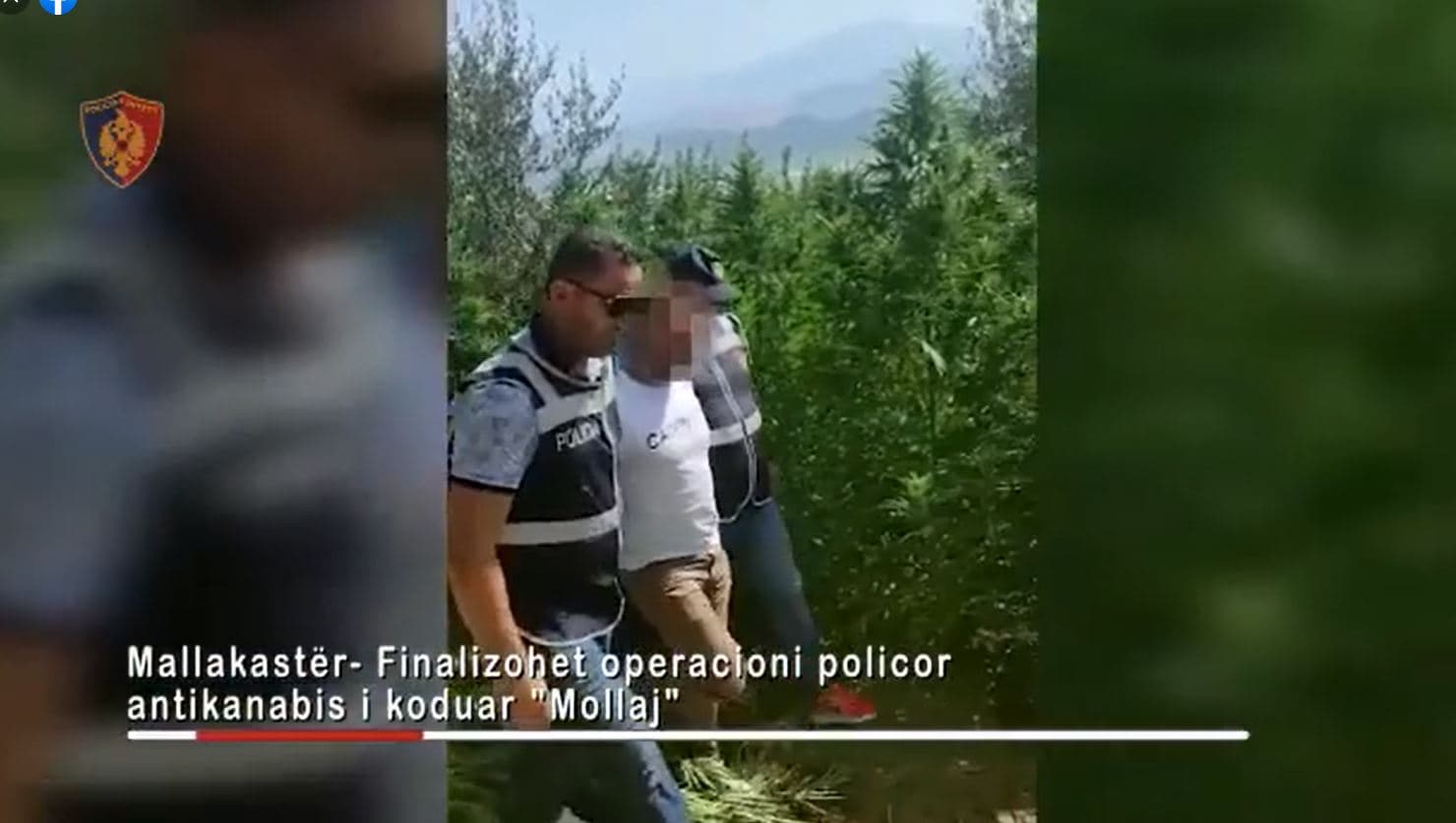  Mbolli kanabis në pronën e vet, pranga 39-vjeçarit në Mallakastër