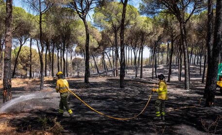 Zjarret në Spanjë, rreth 5 mijë hektarë tokë janë djegur në provincën e Grenadës