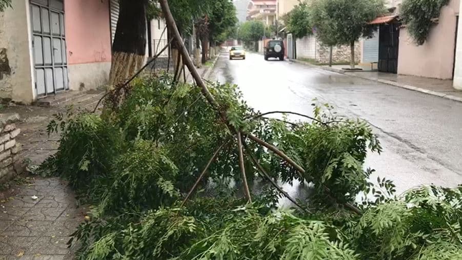 Moti i keq/ Ministria jep informacion për situatën në vend, OSHE: 51 fidera jashtë pune