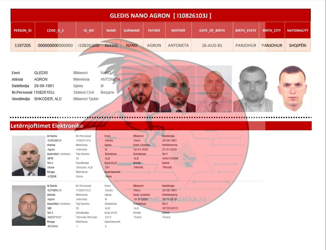 Sulmi kibernetik, Homeland Justice nxjerr të dhënat e Gledis Nanos
