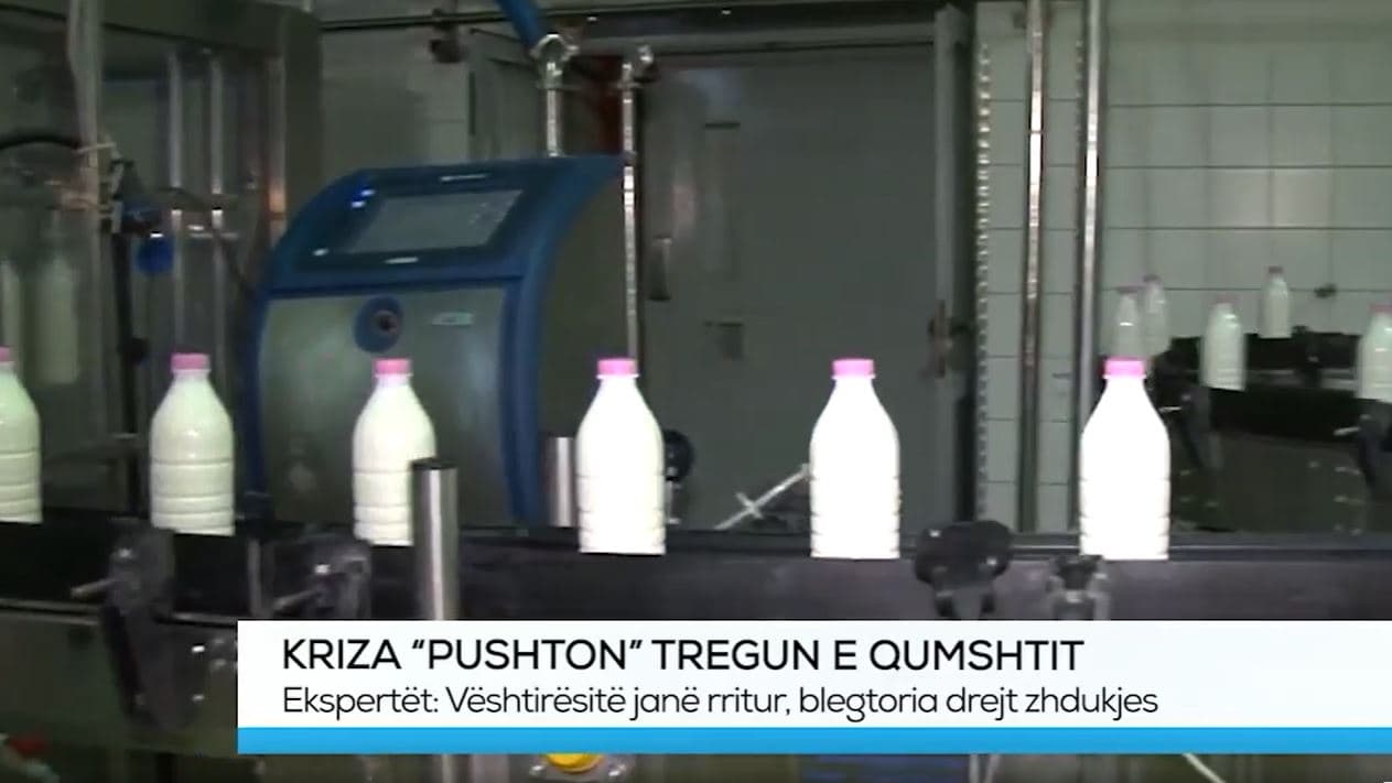 Kriza “pushton” tregun e qumështit (VIDEO)
