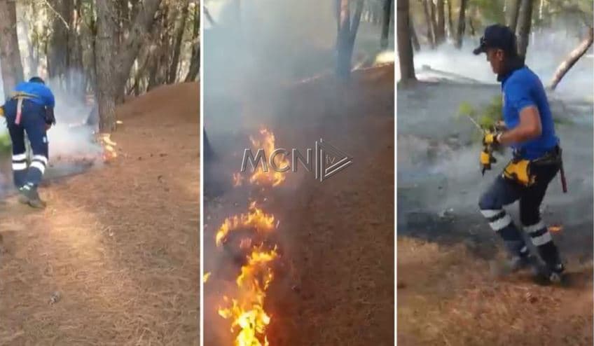   Zjarr në Pyllin e Sodës/ Digjen sipërfaqe të konsiderueshme me pisha