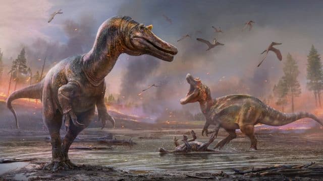 Analiza e vezëve fosile të dinosaurëve në Kinë shkakton debat për zhdukjen e tyre