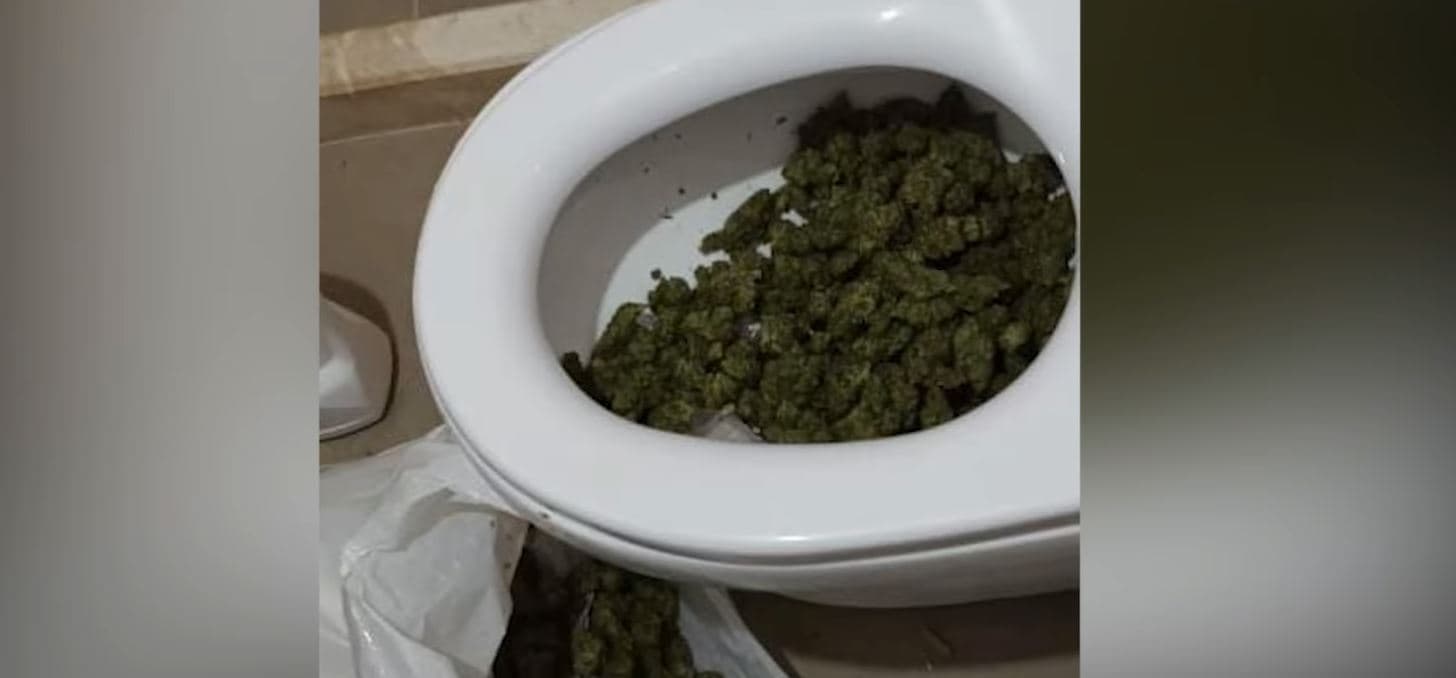 Pranga prindërve dhe djalit në Elbasan, u gjendet 5 kg kanabis (VIDEO)