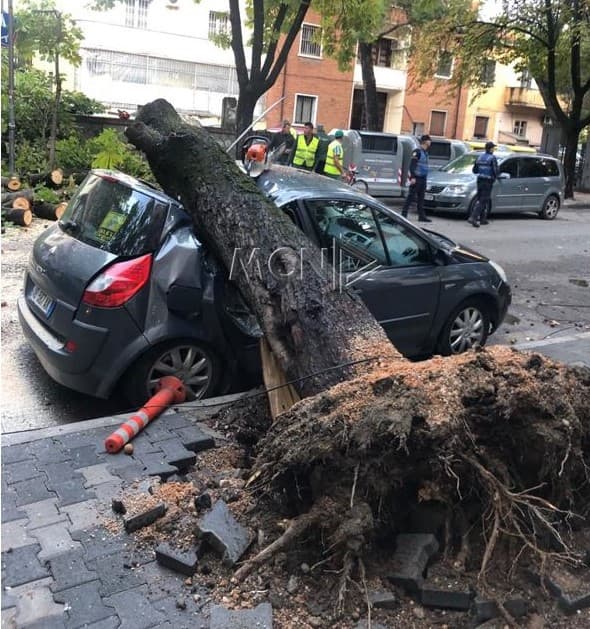 Pema bie në mes të rrugës dhe zë poshtë makinën në Tiranë