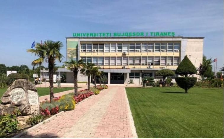 Vidhnin bagëti në pronësi të Universitetit Bujqësor, 5 të arrestuar në Kamzë