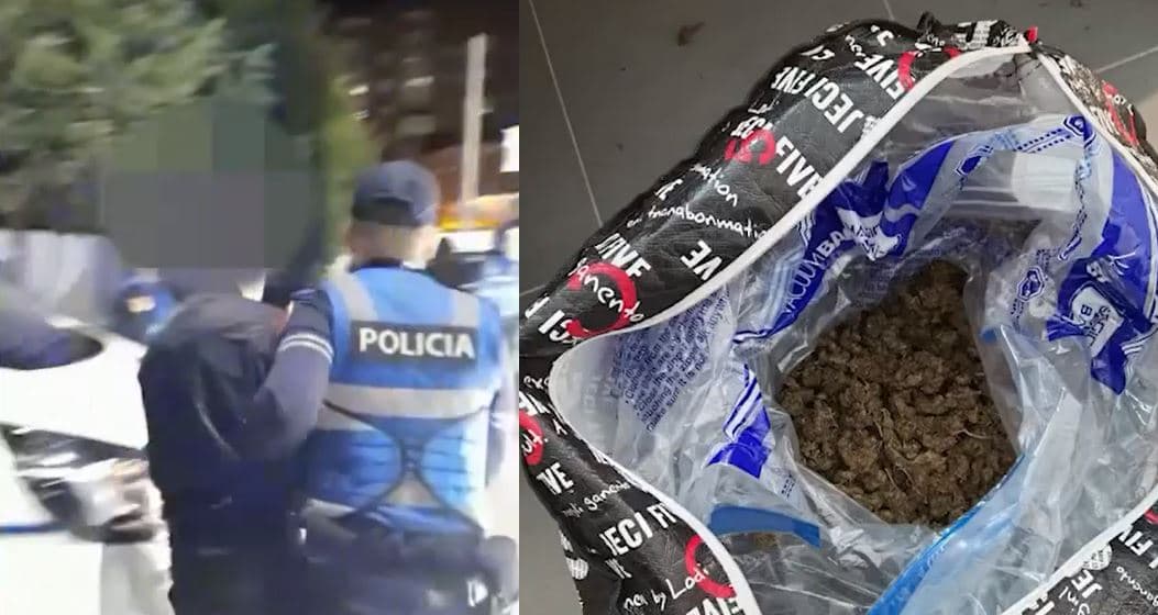 Hetimet disa mujore zbulojnë rrjetin e kultivimit të kanabisit në Krujë, 5 të arrestuar dhe dy në kërkim