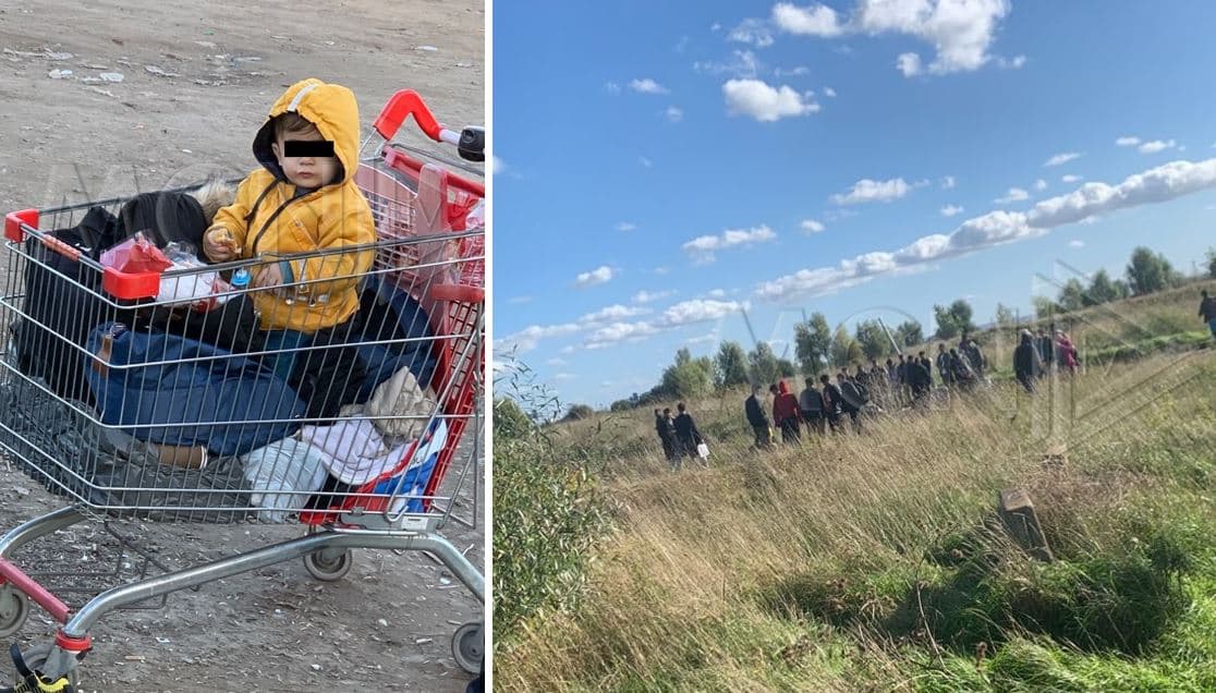 Në mëshirë të fatit në Veri të Francës/ Dhjetëra shqiptarë tentojnë kalimin drejt Anglisë, mes tyre edhe fëmijë 6-muajsh (VIDEO)