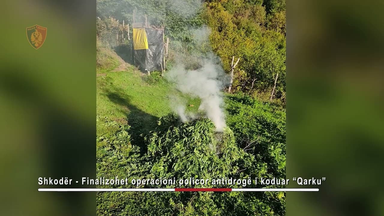 Droga në Shkodër, jepet masa e sigurisë për 16 të arrestuarit
