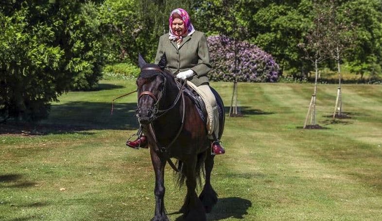 Mbreti Charles do të shesë dymbëdhjetë kuaj nga stalla e Elizabeth II