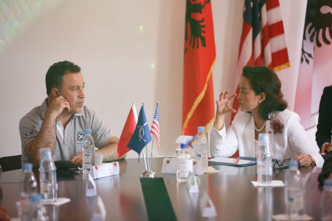 Mbrojtja kibernetike e Shqipërisë, zbardhet takimi i Yuri Kim me Peleshin 