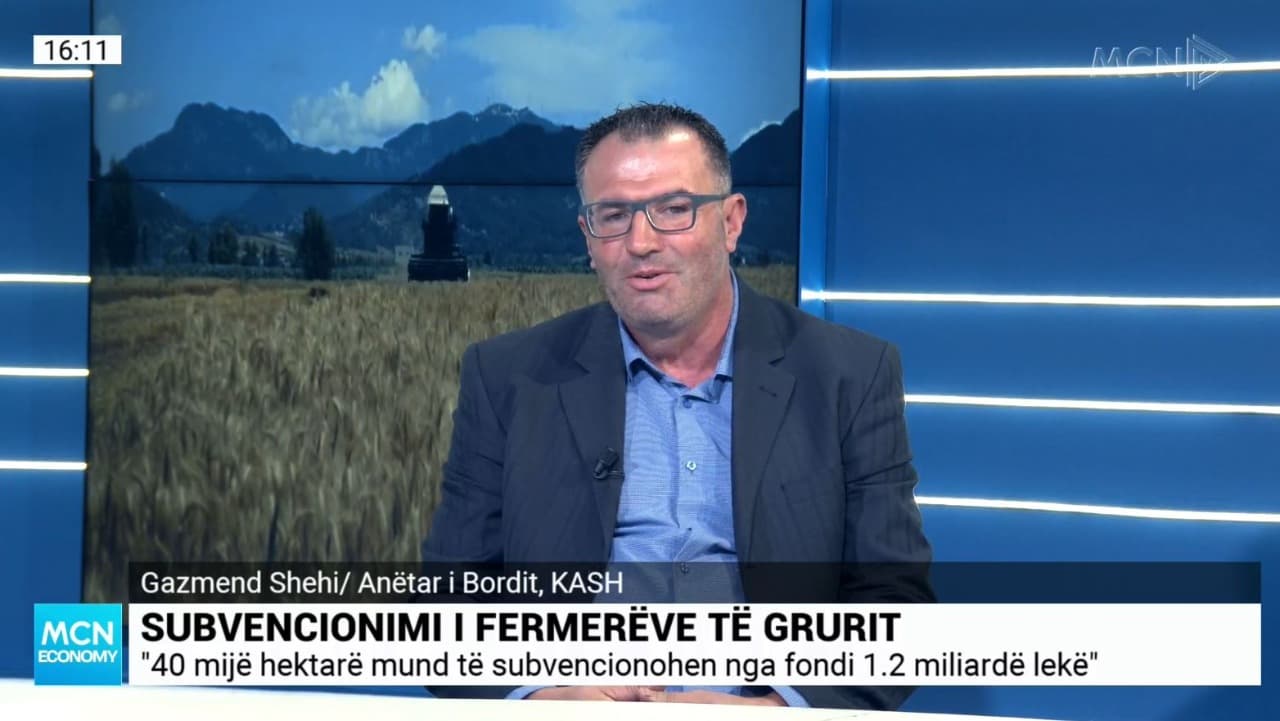 Shehi: Duhet të garantohet shitja e grurit, subvencionimi për fermerët është shumë i ulët