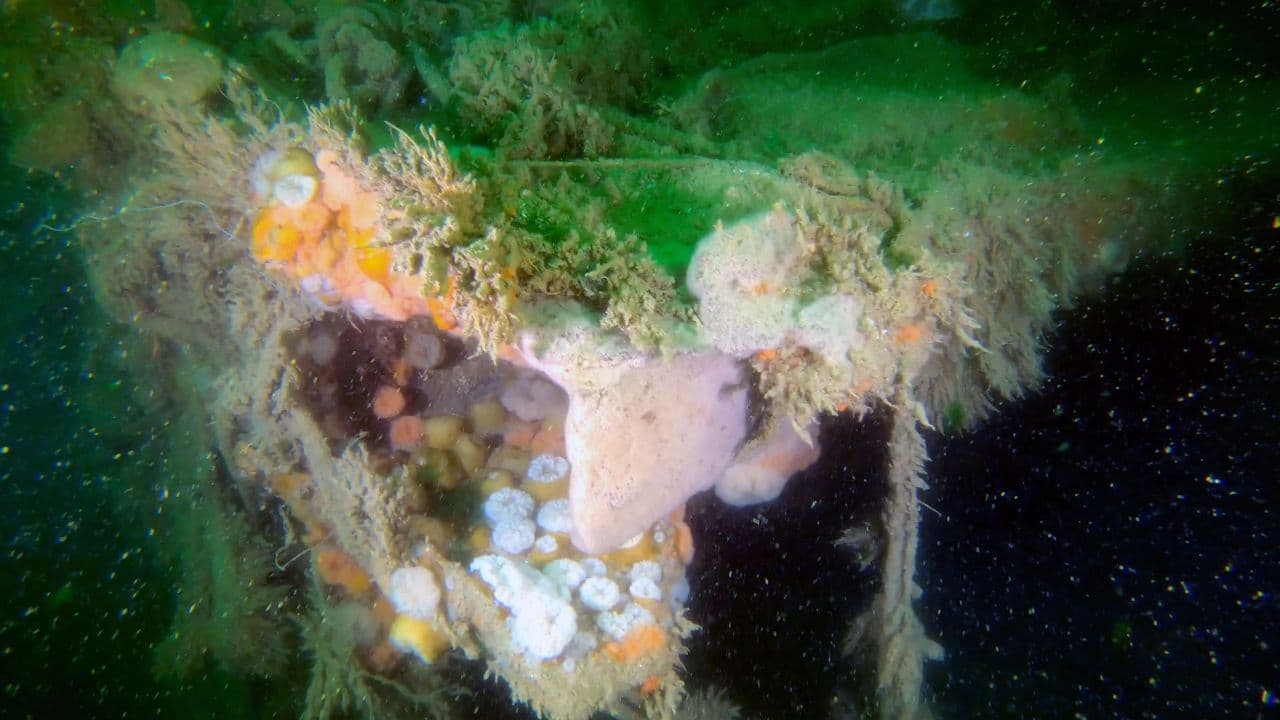Anija e mbytur e Luftës së Dytë Botërore vazhdon ndot fundin e oqeanit 80 vjet më vonë
