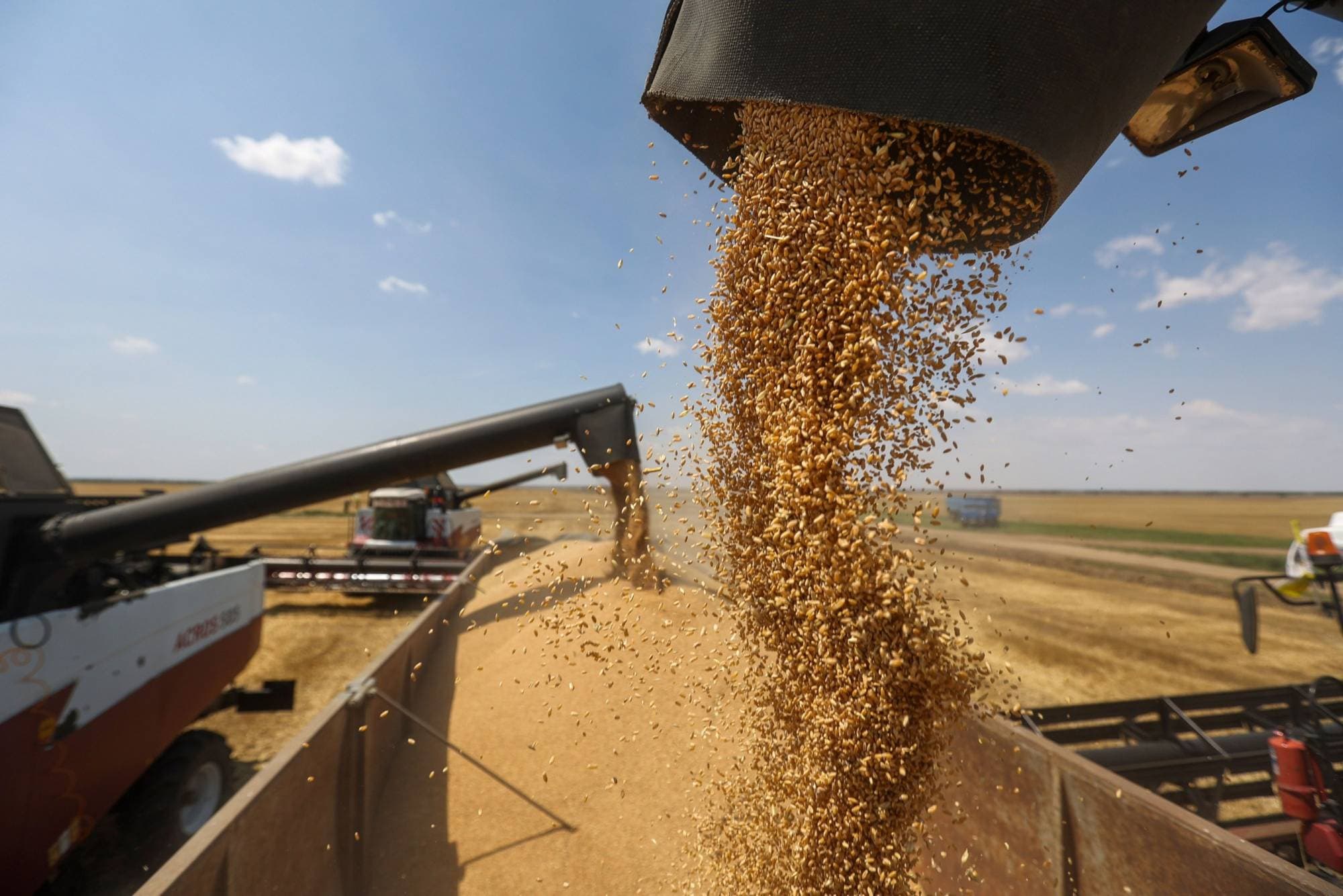 Rusia “zhbllokon” drithin, 10 mln ton produkte bujqësore nisen nga Ukraina