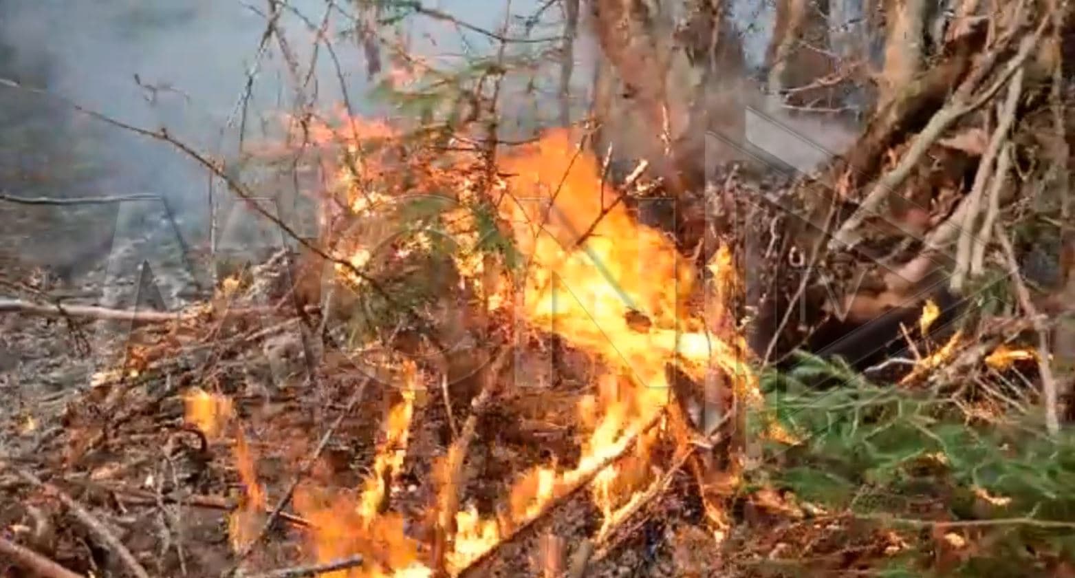 Zjarr në malin e Moravës, dëgjohen shpërthime fishekësh (VIDEO)