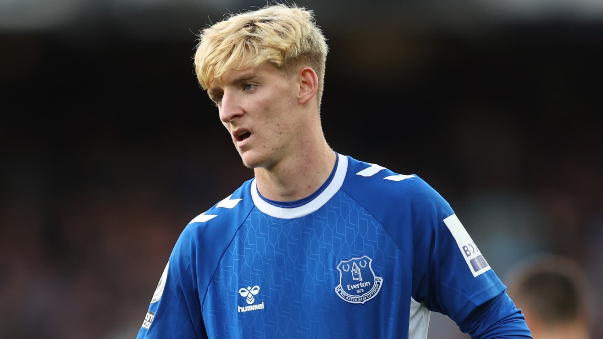 Arsenali pretendon yllin e Evertonit 